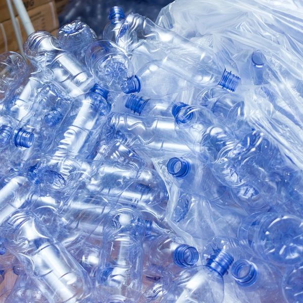 Historical Facts Lifespan Spring Water